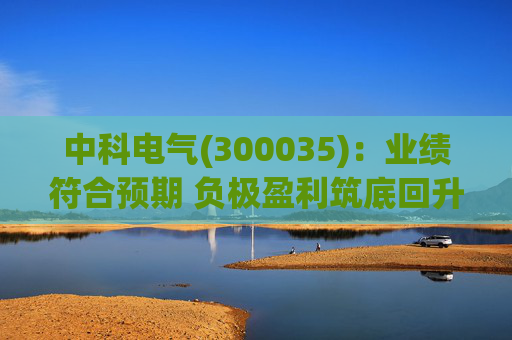 中科电气(300035)：业绩符合预期 负极盈利筑底回升