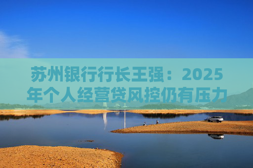 苏州银行行长王强：2025年个人经营贷风控仍有压力，但不会造成冲击