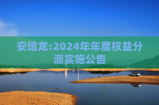 安培龙:2024年年度权益分派实施公告