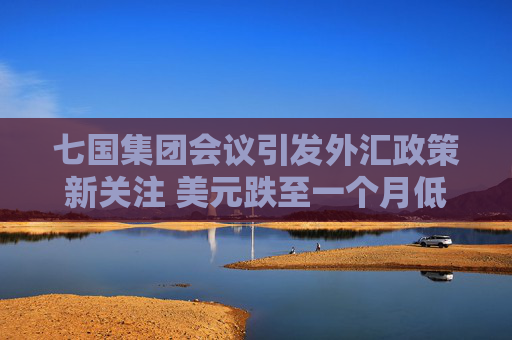 七国集团会议引发外汇政策新关注 美元跌至一个月低点