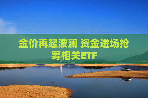 金价再起波澜 资金进场抢筹相关ETF
