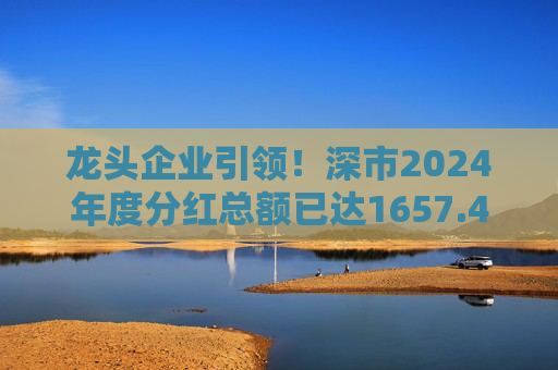龙头企业引领！深市2024年度分红总额已达1657.47亿元
