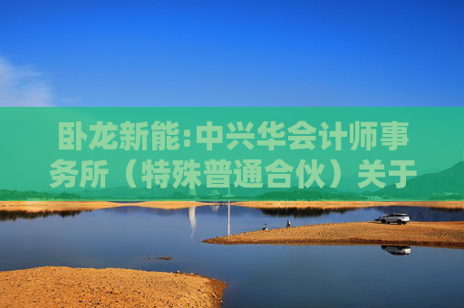 卧龙新能:中兴华会计师事务所（特殊普通合伙）关于不存在《上市公司监管指引第7号――上市公司重大资产重组相关股票异常交易监管》第十二条不得参与任何上市公司重大资产重组情形的说明
