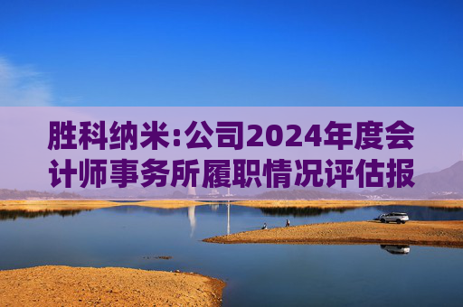 胜科纳米:公司2024年度会计师事务所履职情况评估报告  第1张