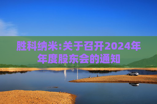 胜科纳米:关于召开2024年年度股东会的通知  第1张