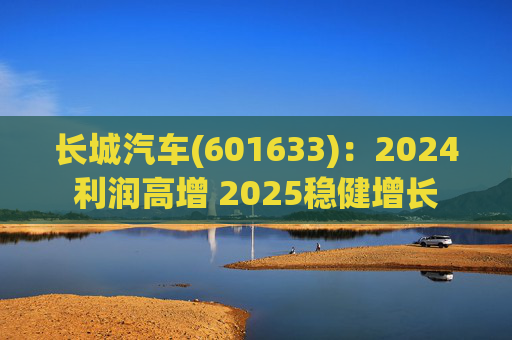 长城汽车(601633)：2024利润高增 2025稳健增长