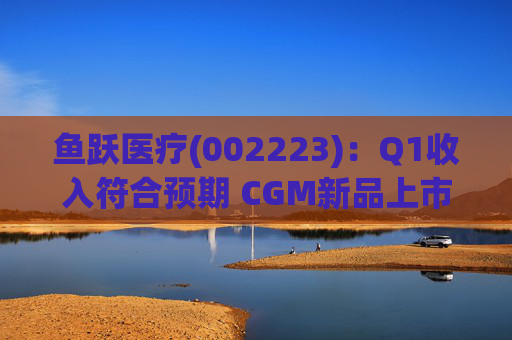 鱼跃医疗(002223)：Q1收入符合预期 CGM新品上市丰富增长动能