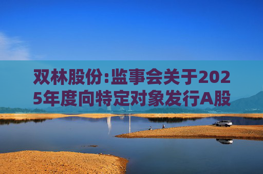 双林股份:监事会关于2025年度向特定对象发行A股股票的书面审核意见  第1张