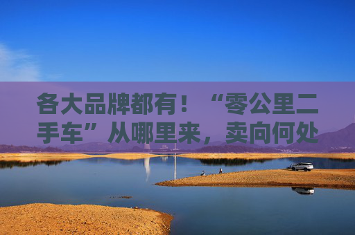 各大品牌都有！“零公里二手车”从哪里来，卖向何处，影响有多大？