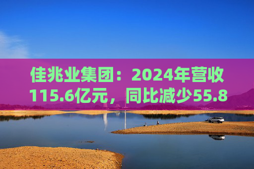 佳兆业集团：2024年营收115.6亿元，同比减少55.8%