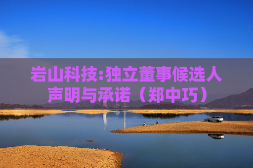 岩山科技:独立董事候选人声明与承诺（郑中巧）