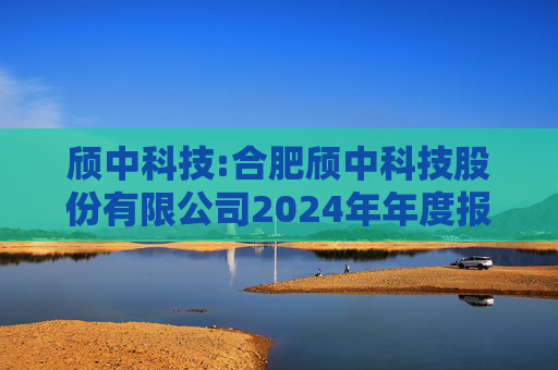 颀中科技:合肥颀中科技股份有限公司2024年年度报告