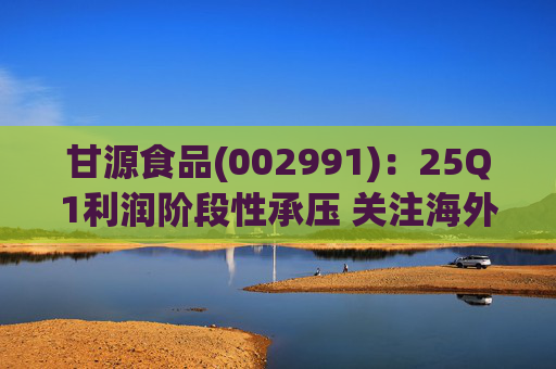 甘源食品(002991)：25Q1利润阶段性承压 关注海外市场突破  第1张