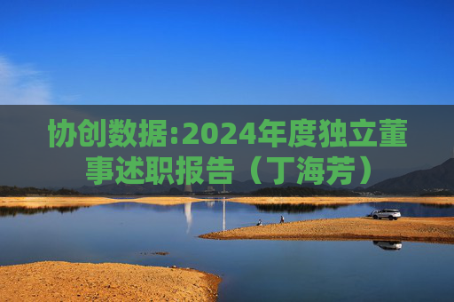 协创数据:2024年度独立董事述职报告（丁海芳）