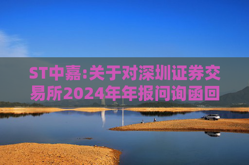 ST中嘉:关于对深圳证券交易所2024年年报问询函回复的公告