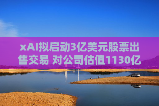 xAI拟启动3亿美元股票出售交易 对公司估值1130亿美元