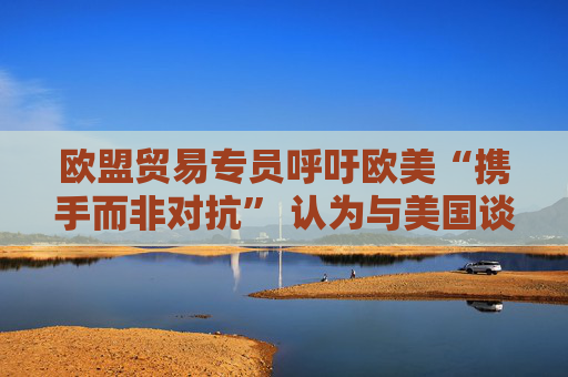 欧盟贸易专员呼吁欧美“携手而非对抗” 认为与美国谈判正在取得进展  第1张