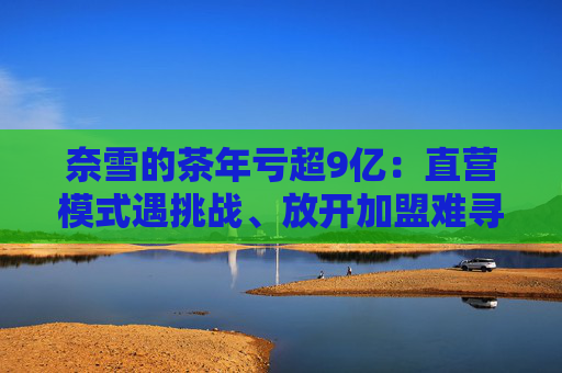 奈雪的茶年亏超9亿:直营模式遇挑战、放开加盟难寻加盟商  第1张 奈雪的茶年亏超9亿:直营模式遇挑战、放开加盟难寻加盟商  第1张