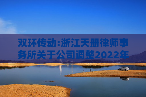 双环传动:浙江天册律师事务所关于公司调整2022年股票期权激励计划行权价格的法律意见书  第1张