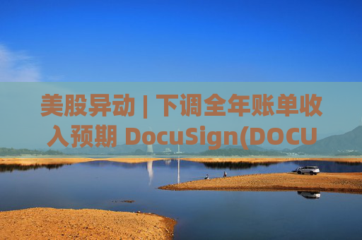 美股异动 | 下调全年账单收入预期 DocuSign(DOCU.US)大跌超18%