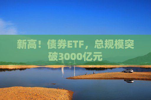 新高！债券ETF，总规模突破3000亿元