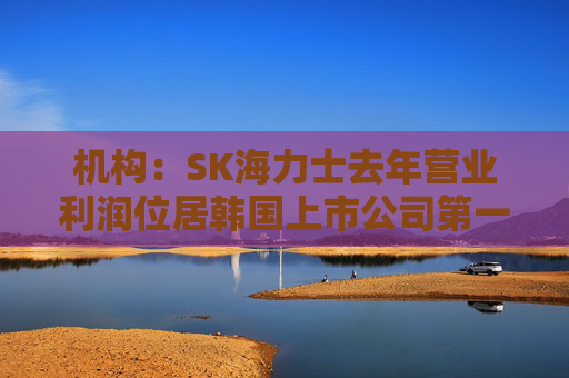 机构：SK海力士去年营业利润位居韩国上市公司第一，首次超过三星电子