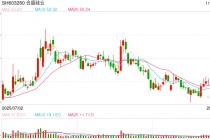 合盛硅业转亏股东清仓式减持：固定资产在建工程有息负债均超300亿 直接融资109亿后拟再大规模募资