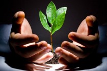 重疾险的保障期限多久合适？