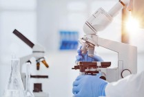 6天8家药企扎堆递表：港股生物医药IPO回暖下的机遇与隐忧