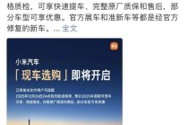 小米“现车选购”引争议，提车等一年，转头卖现车？