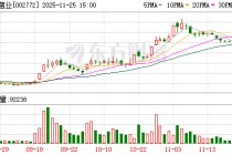 众兴菌业：对外担保总余额达11.41亿元