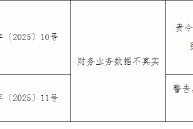 紫金财险盘锦中心支公司被罚15万元：财务业务数据不真实