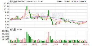 华升股份：公司目前暂未建立财务共享中心