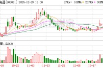 白云电器：不存在逾期担保情况