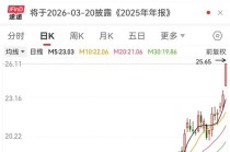 突破1000亿元，建材龙头涨停！世界白银协会发声，银价大反弹，多只概念股获融资客加仓