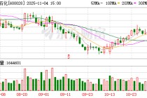中国石化：累计回购公司股份48821270股