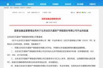 又一家财险公司法巴天星开业，小米共同持股！