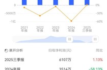 存货跌价准备计提不准确，坤彩科技被责令改正