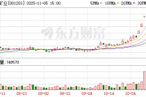 大中矿业：无逾期担保累计金额