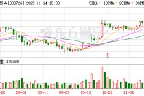 鲁泰Ａ：公司战略部门对全球潜在投资区域和市场保持持续关注