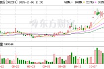 大为股份：旗下锂矿已完成勘探评审备案 正在办理探矿权转采矿权手续