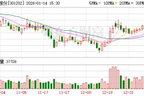 朗威股份：2026年2月6日召开2026年第一次临时股东会