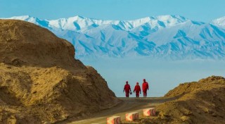 净利润468亿元！中国石油凭什么逆势上涨