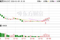 海安集团：公司调整后的募集资金主要投向三个项目