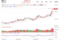 化工股为何逆势大涨？