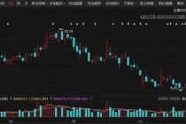 面板龙头维信诺复牌 合肥国资拟入主
