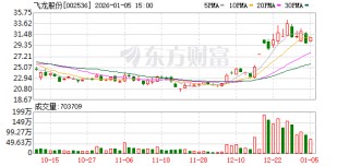 飞龙股份：截至2025年12月31日最新股东户数9万余户