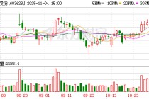 清源股份：2025年第三季度公司实现归属于上市公司股东的净利润1246.68万元