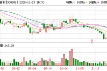 志特新材：无逾期担保的情形