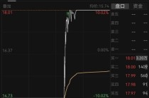 4倍大牛股，15分钟冲地天板